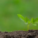 Attēls rakstam: Eiropas finansējumu uzņēmējdarbības zaļināšanai prioritāri piešķirs projektiem Saulkrastu, Limbažu, Ogres un Tukuma novados