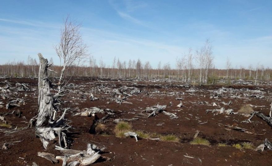 Ekosistēmu stabilitāte ir tieši atkarīga no klimata