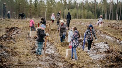 Attēls rakstam: Foto: Allažu pagastā radies hektārs jauna meža