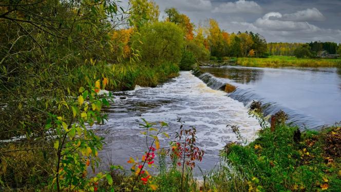 Attēls rakstam: FOTO: Cik skaisti! Lūk, kā rudens apglezno Latviju – krāšņi kadri no Ropažiem
