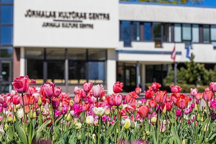 Foto: Jūrmalā uzzied 30 000 tulpju