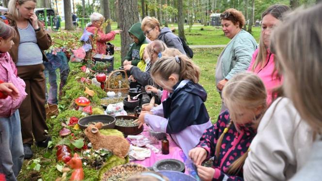 Attēls rakstam: FOTO: Purva ogai par godu – Olainē nosvinēts Dzērveņu festivāls
