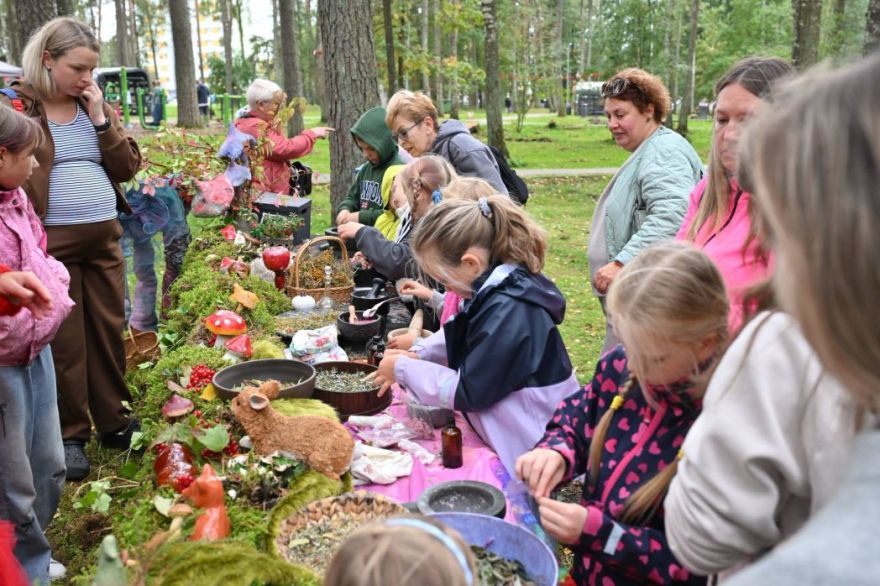 FOTO: Purva ogai par godu – Olainē nosvinēts Dzērveņu festivāls