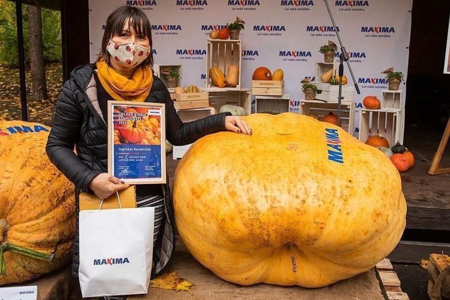 Foto: Šāgada Latvijas brangākais ķirbis sver 226,5 kilogramus