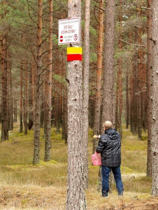 FOTO: Sēņotājus no militārā poligona neaizbiedē pat dzirdamie šāvieni