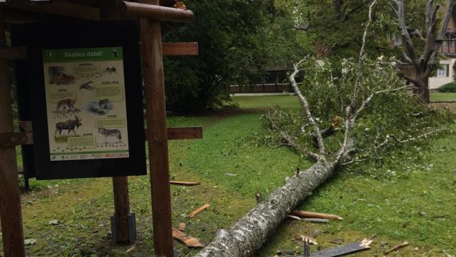 Attēls rakstam: FOTO: Vētras postījumi Ķemeru nacionālajā parkā