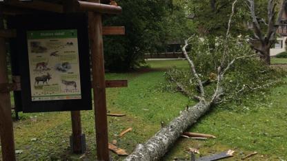 Attēls rakstam: FOTO: Vētras postījumi Ķemeru nacionālajā parkā