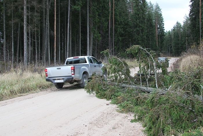 FOTO: Vētras postījumi Pierīgā: nogāzti koki un elektrības stabi (papildināta)