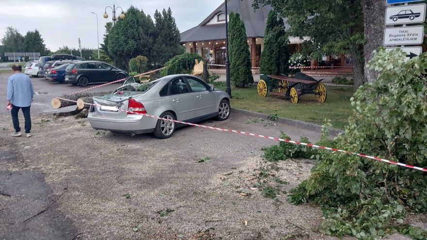 FOTO/VIDEO: Saulaina pēcpusdiena Raganā: auto novietošana zem koka beidzas ar nepatīkamu pārsteigumu