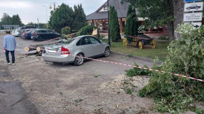 Attēls rakstam: FOTO/VIDEO: Saulaina pēcpusdiena Raganā: auto novietošana zem koka beidzas ar nepatīkamu pārsteigumu