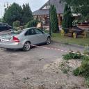 Attēls rakstam: FOTO/VIDEO: Saulaina pēcpusdiena Raganā: auto novietošana zem koka beidzas ar nepatīkamu pārsteigumu