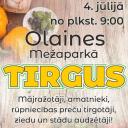 Attēls rakstam: Garšas, amatniecība un stādi vienuviet -  Olainē gatavojas vasaras tirgum