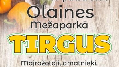 Attēls rakstam: Garšas, amatniecība un stādi vienuviet -  Olainē gatavojas vasaras tirgum