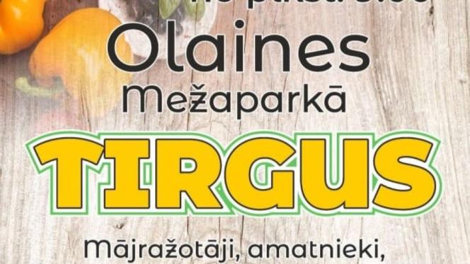 Attēls rakstam: Garšas, amatniecība un stādi vienuviet -  Olainē gatavojas vasaras tirgum