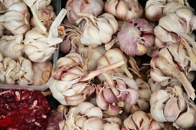 Garšaugi, ko sarūpēt, lai ziemā neslimotu. Farmaceita versija