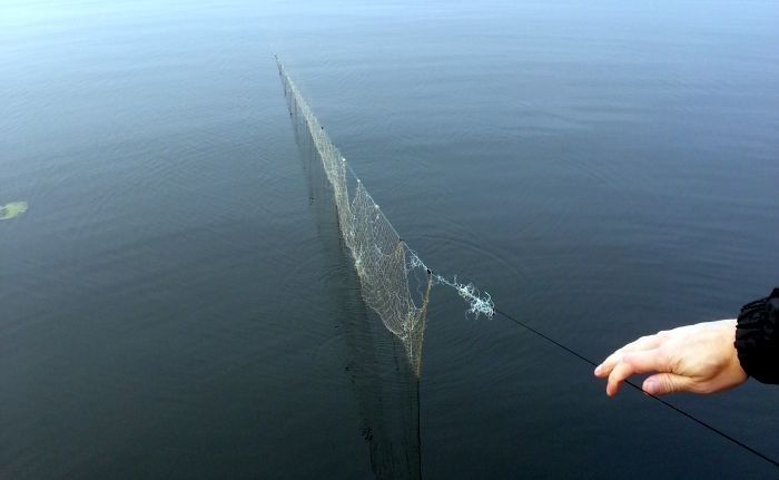 "Gaujas ilgtspējīgas attīstības biedrība" aicina iedzīvotājus ziņot par maluzvejniekiem
