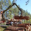 Attēls rakstam: Ģenerālprokuratūrā sākts kriminālprocess par iespējamiem AS "Latvijas valsts meži" nodarītiem zaudējumiem