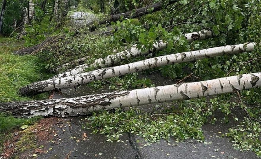 Glābēji saņēmuši ap 2400 pieteikumu par vēja postījumiem