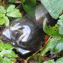 Attēls rakstam: Globālā un lokālā plastMASA (1.daļa)