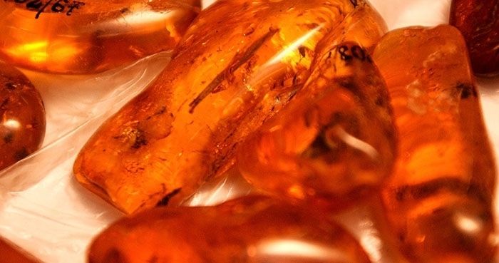 Iepazīsti mūsu nacionālo dārgakmeni – dzintaru