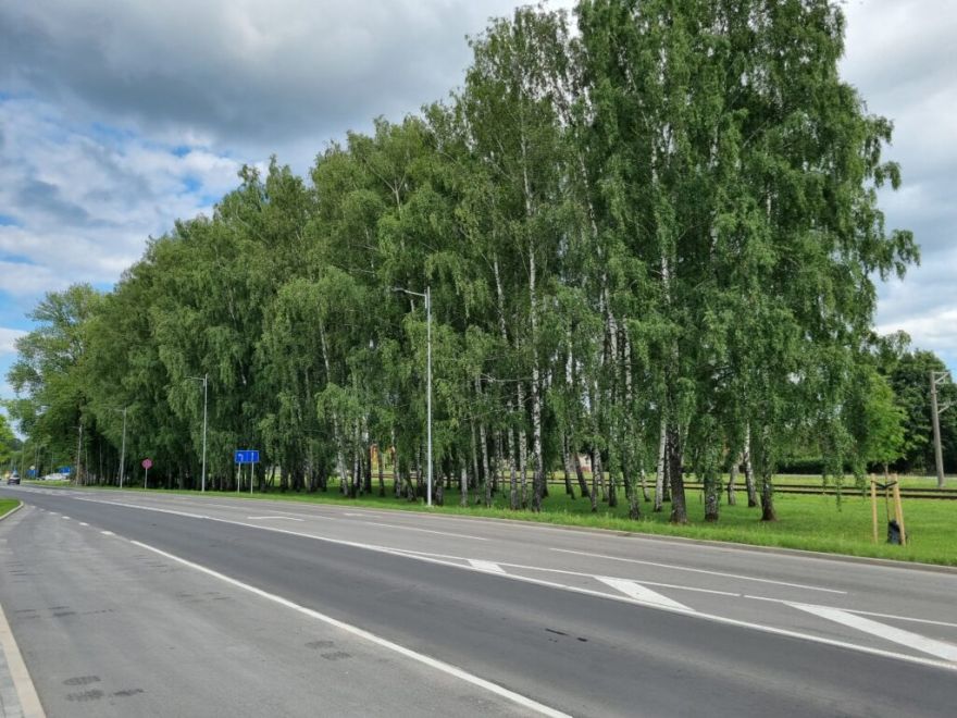 Iesaki savu variantu! Kāds būs jaunais nosaukums labi zināmajam skvēram Siguldā?