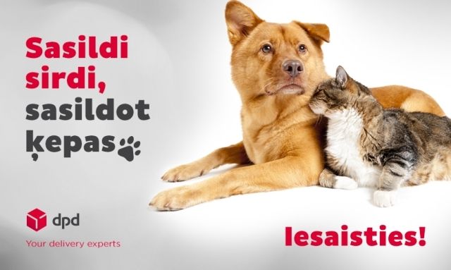 Iespēja bez maksas nosūtīt ziedojumus uz dzīvnieku patversmēm