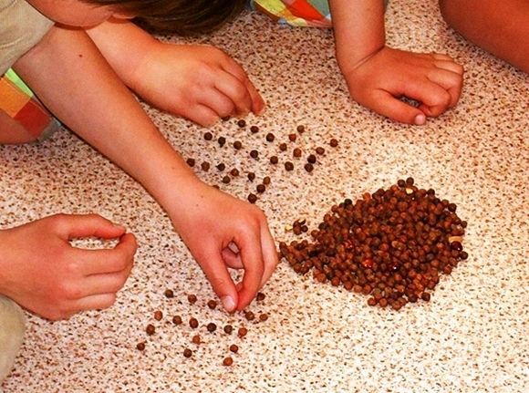 "Ikšķiles brīvā skola" meklē jaunus darbiniekus