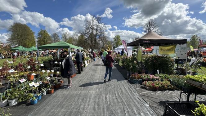 Attēls rakstam: Jau drīzumā Siguldā notiks lielākais stādu tirgus Baltijā - “Latvijas Stādu parāde 2026”