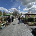 Attēls rakstam: Jau drīzumā Siguldā notiks lielākais stādu tirgus Baltijā - “Latvijas Stādu parāde 2026”