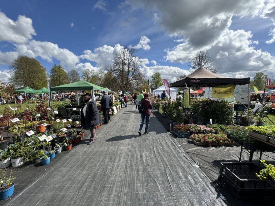 Jau drīzumā Siguldā notiks lielākais stādu tirgus Baltijā - “Latvijas Stādu parāde 2026”