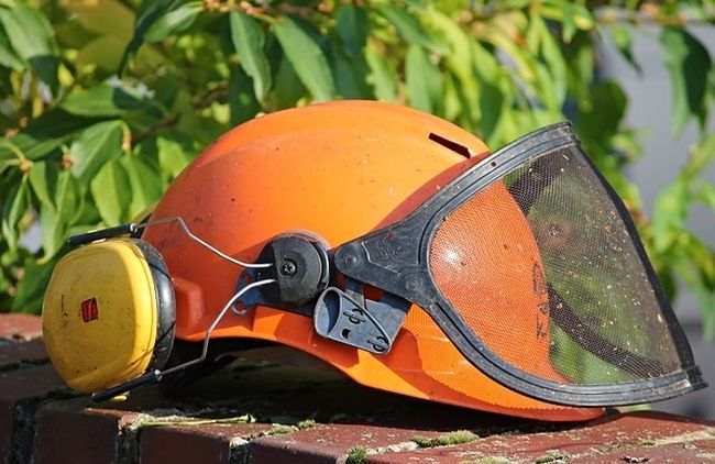 Jauni uzņēmumi pērn reģistrēti visās pašvaldībās; vispozitīvākā bilance – Ikšķiles novadā