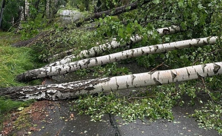 Jūlija vētras postījumu kompensēšanai četrām pašvaldībām, arī Jūrmalai un Olainei, plāno izmaksāt vairāk nekā miljonu eiro