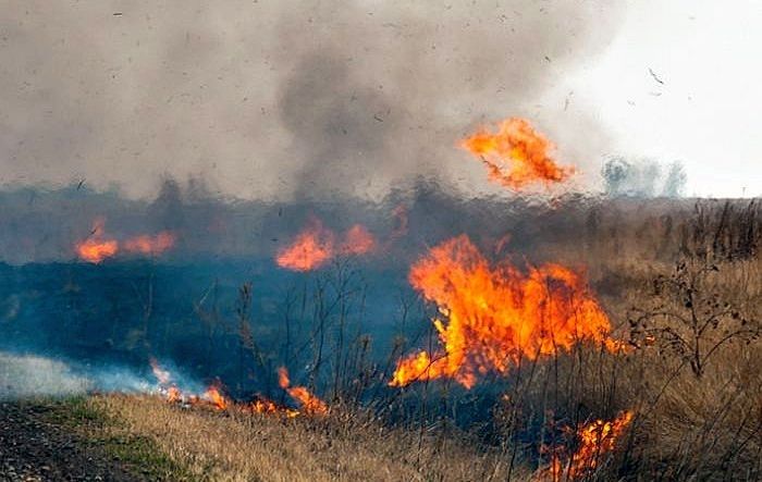 Jūrmalā 10 hektāru platībā degušas niedres un kūla, ugunsgrēks dzēsts visu nakti
