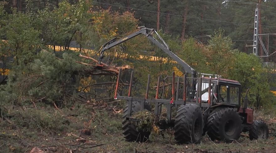Jūrmalā gar dzelzceļu pazūd mežs – iedzīvotāji neizpratnē par plašajām kailcirtēm