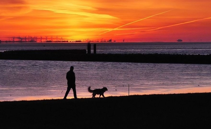 Jūrmalā stājušās spēkā izmaiņas mājas dzīvnieku turēšanas noteikumos