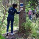Attēls rakstam: Jūrmalā top pārgājienu maršruts "Mežtaka"
