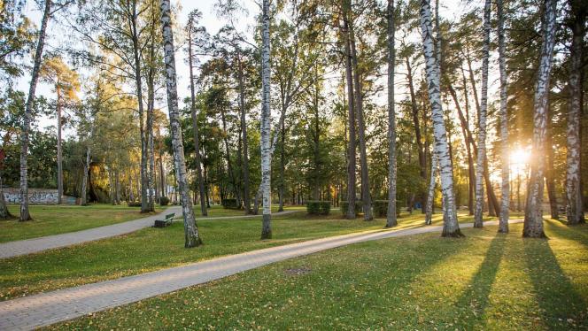 Attēls rakstam: Jūrmalā turpinās darbs pie Asaru parka labiekārtojuma