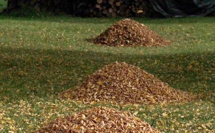 Jūrmalas dome bez maksas nodrošinās rudens lapu izvešanu