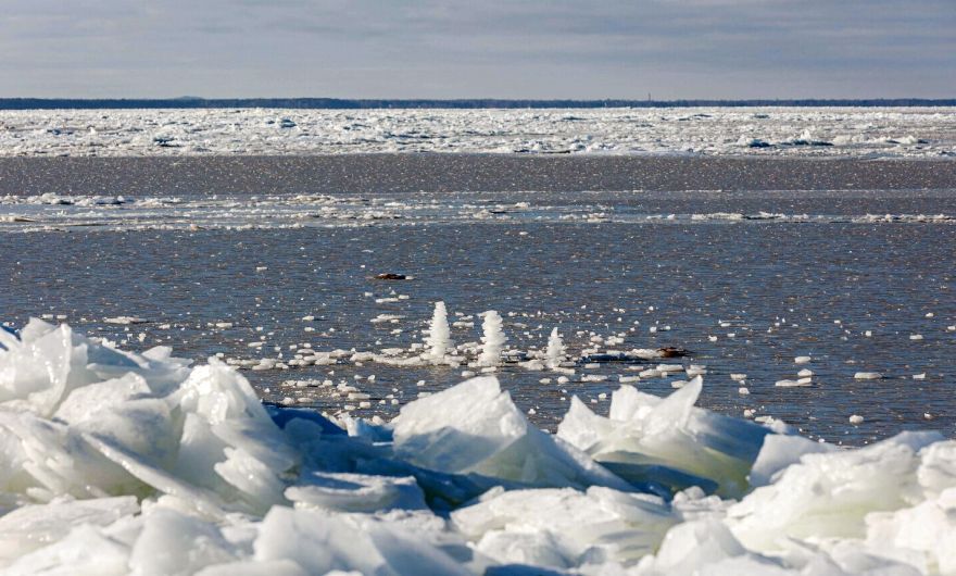 Jūrmalas pašvaldība apzina pieejamos līdzekļus iespējamo plūdu novēršanai