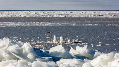 Attēls rakstam: Jūrmalas pašvaldība apzina pieejamos līdzekļus iespējamo plūdu novēršanai