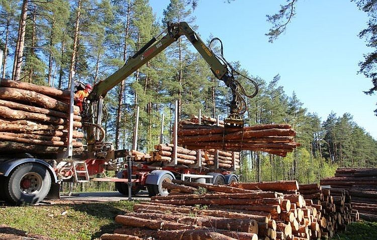 Kā krīzi pārdzīvo Latvijas kokapstrādes nozare?