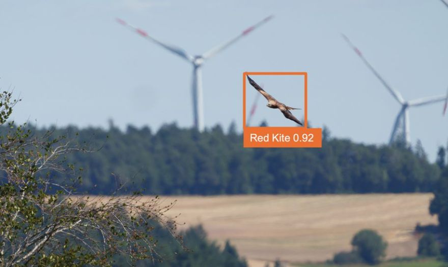 Kā vēja parki sadzīvo ar putniem. Skaidro "Latvenergo"