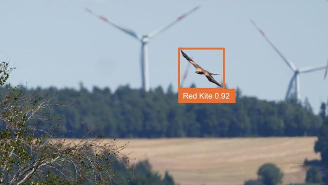 Attēls rakstam: Kā vēja parki sadzīvo ar putniem. Skaidro "Latvenergo"