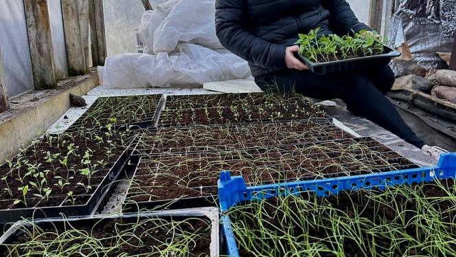 Attēls rakstam: Kad sniegs nokusis, cilvēki meklē sēklas un sarunas