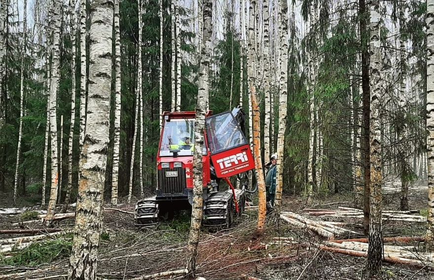 Kalngalē rūks zāģi: "Rīgas meži" sāk mežizstrādi Rīgas mežniecībā