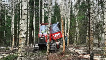 Attēls rakstam: Kalngalē rūks zāģi: "Rīgas meži" sāk mežizstrādi Rīgas mežniecībā