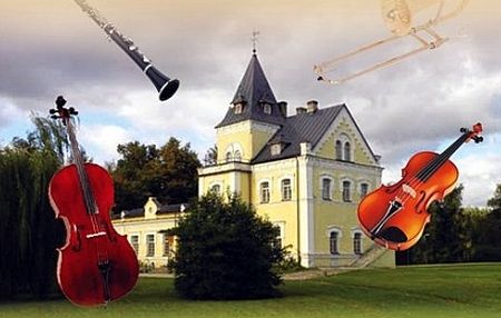 Kamermūzikas koncerts Daugavas muzejā Doles salā