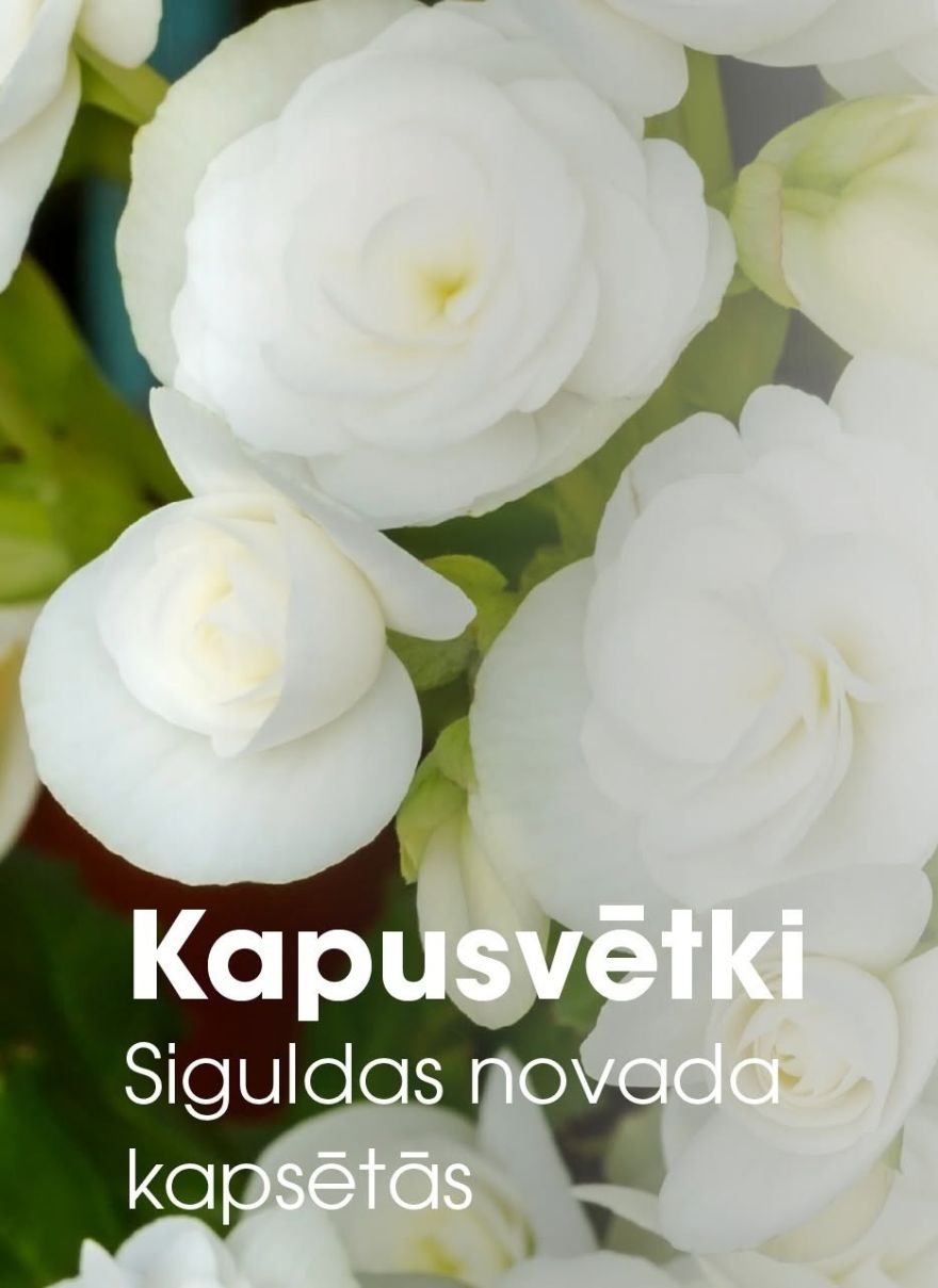 Kapusvētki Siguldas novadā jūlijā, augustā, septembrī