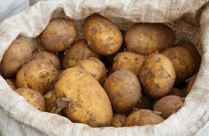Kartupeļu audzētāji: Šogad raža ir 1,5-5 reizes mazāka nekā vidēji
