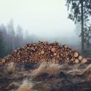 Attēls rakstam: Kas solīts un kas paveikts klimata jomā